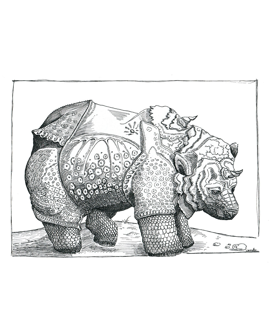 Ours guerrier - Tirage d'art en édition limitée